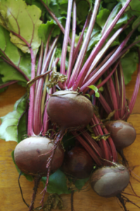 Photo of a bunch of dark red beetroots