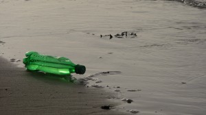 Photo of a polluted bed of water