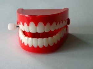 Photo of plastic teeth