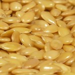 Photo of flax seeds