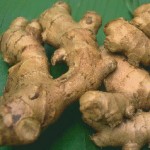 Photo of ginger root