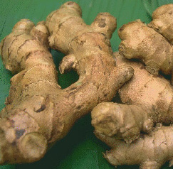 Photo of ginger root