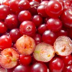 Photo of cranberries