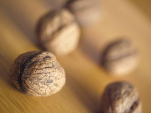 Photo of walnuts