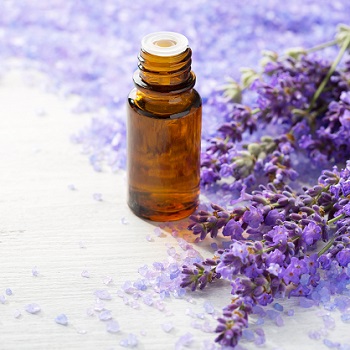 Lavender – the essential oil for every home