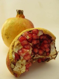 Photo of a pomegranate