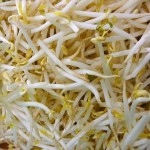 Photo of beansprouts