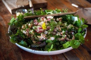 Photo of Trill Farm salad