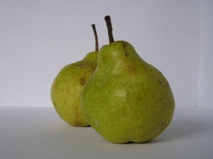 Photo of two pears