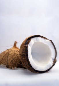 Photo of coconuts