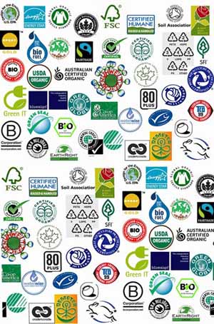 Decoding the label – why food shopping with a conscience is worth the effort