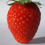 Photo of a strawberry