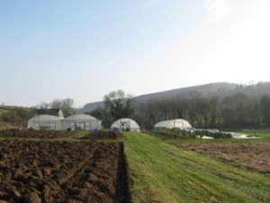 Trill Farm garden March 2012
