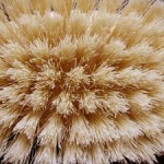 Close up photo of a natural brush