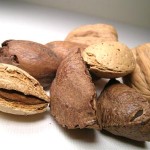 Photo of tree nuts