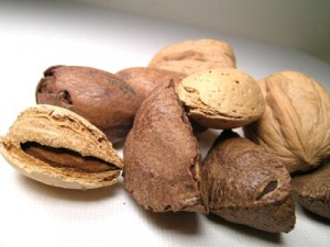 Photo of tree nuts