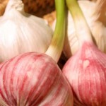Photo of dried and fresh garlic