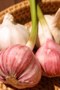 Photo of dried and fresh garlic