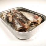 Photo of sardines in a tin