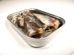 Photo of sardines in a tin