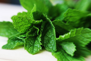 Photo of fresh mint