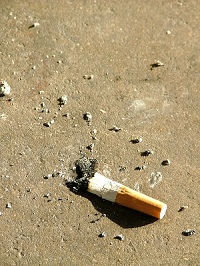 Photo of stubbed otu cigarette