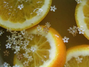 Photo of elderflower cordial mixture