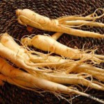 Photo of American ginseng