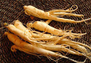 Photo of American ginseng