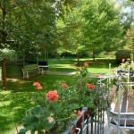 Photo of a hospital garden