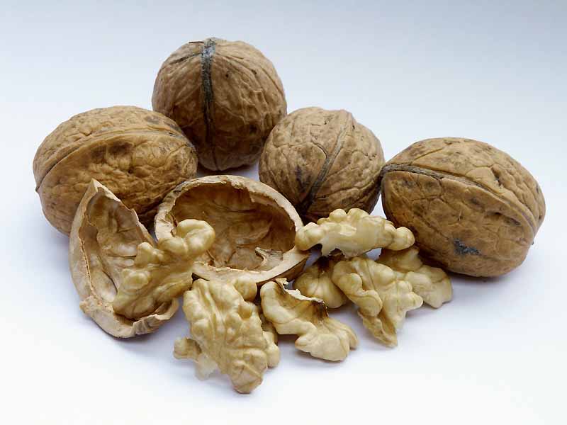Healthy fats in walnuts give men a fertility boost