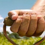 Photo of a farmer's hand on a shovel