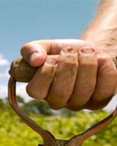 Photo of a farmer's hand on a shovel