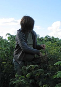 Photo of Kate at Trill Farm