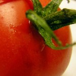 Close-up photo of a tomato