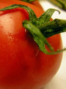 Close-up photo of a tomato