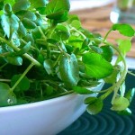Photo of watercress in a bowl