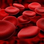 Photo of red blood cells