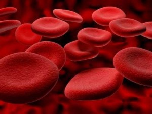 Photo of red blood cells