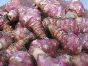 Photo of Jerusalem artichokes