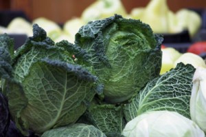 Photo of cabbages