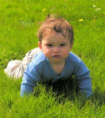 Photo of a child crawling in the grass
