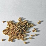 Photo of fenugreek seeds [Image: Rilke -wikimedia Comons]