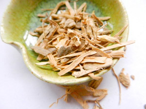 Photo of kava root