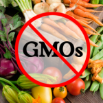 NO GMO photo