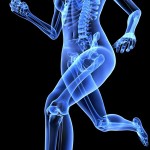 Illustration of a woman's skeleton running