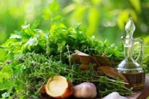 Photo of fresh herbs