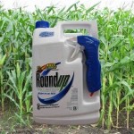 Photo of Round Up herbicide