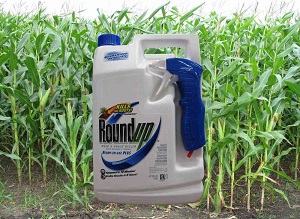 Photo of Round Up herbicide