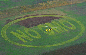 Photo of a no GMO message cut into a corn field